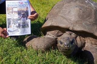 Черепаха Джонатан - самое старое существо на Земле: ей 191 год